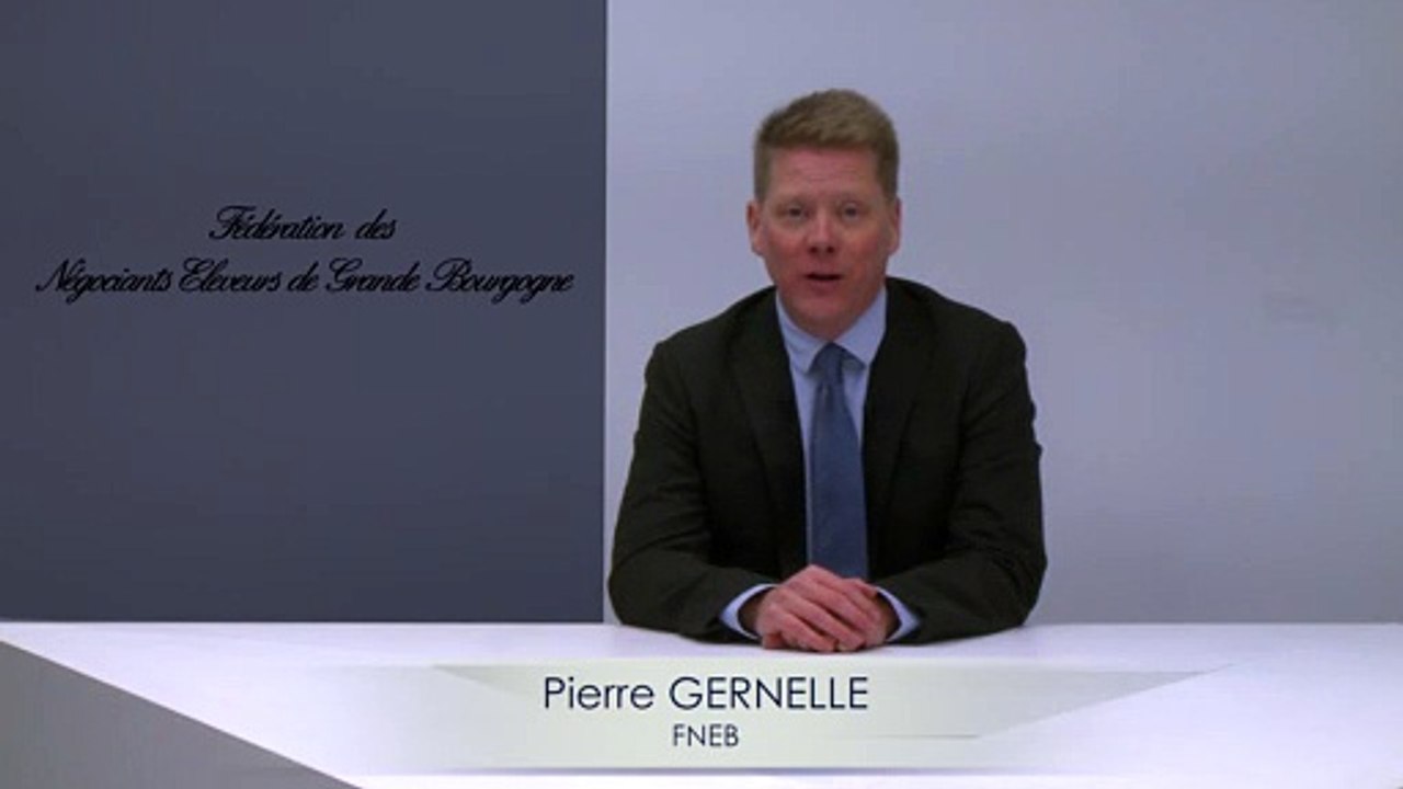 VOEUX 2019 - P GERNELLE
