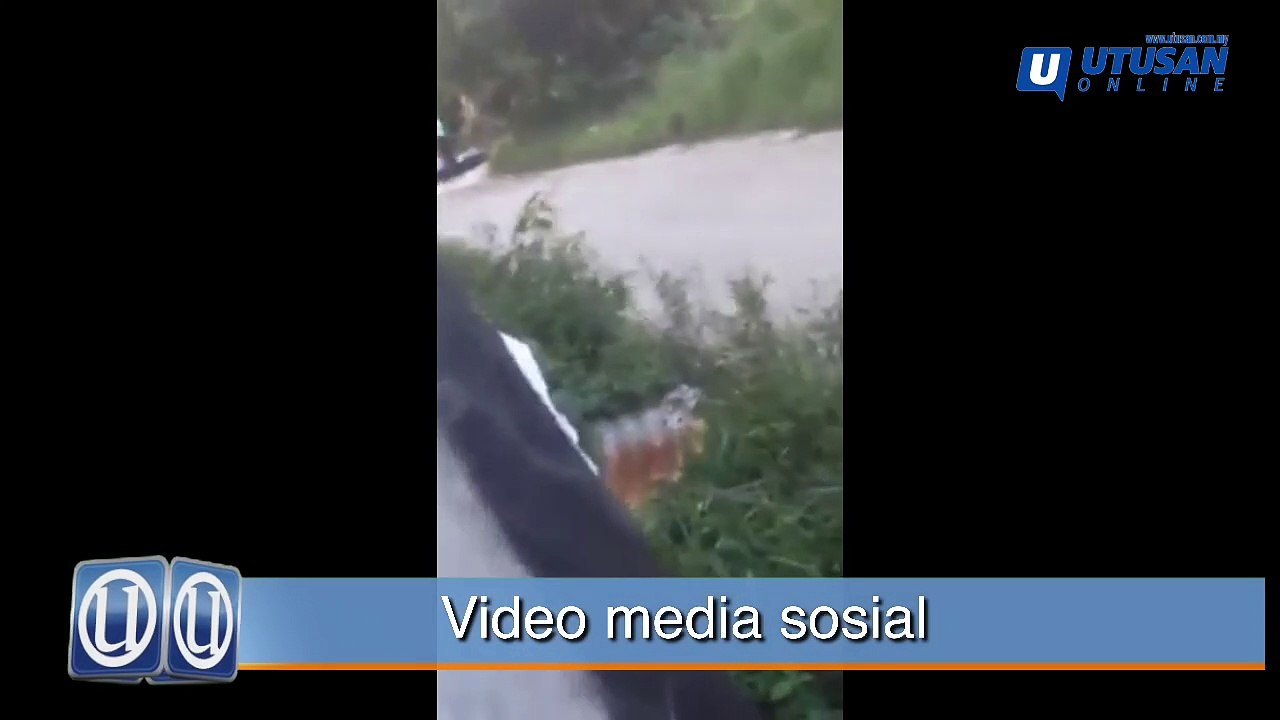 Polis siasat video tular anggota trafik tendang remaja