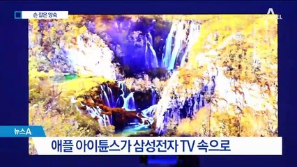 “중국 기업에 맞서자”…손 잡은 삼성전자-애플