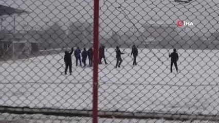 Sarıgöl Belediyesi Soğuk Havada Yiyecek Bulamayan Sokak Hayvanlarına Sahip Çıktı