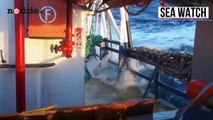 Trattative tra Sea Watch 3 e Malta: migrante si butta in acqua  | Notizie.it