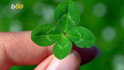 Simple Ways to Bring More Luck Into Your Life This Year