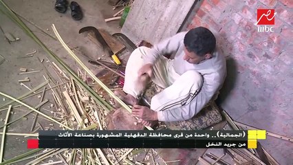 "الجمالية".. واحدة من قرى محافظات الدقهلية المشهورة بصناعة الاثاث من جريد النخيل