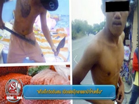 sanook social news 22 มีนาคม 2556