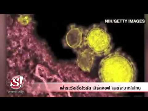 sanook daily 18 เมษายน 2557