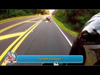 sanook social news 2 กรกฎาคม 2557