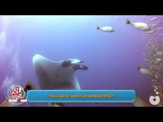 sanook social news 17 กันยายน 2557