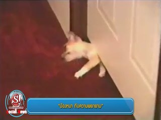 sanook social news 19 กันยายน 2557