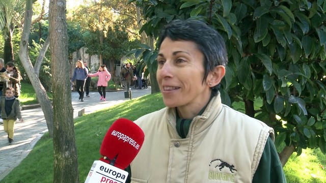 Los Reyes Magos entregan regalos a los animales del Bioparc