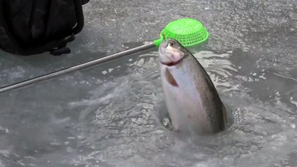 제7회 홍천강 꽁꽁축제 개막...17일간 열려 / YTN