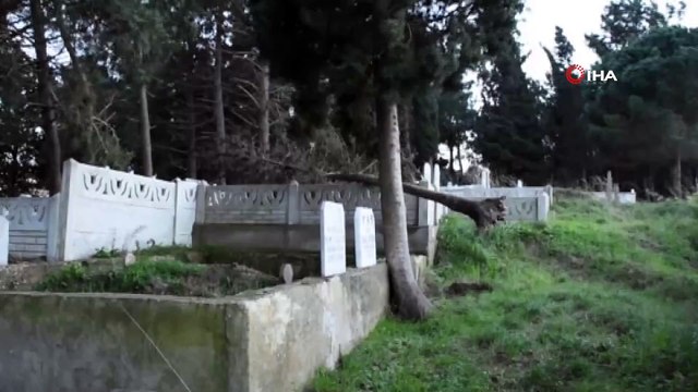 Fırtına Çatıları Uçurdu, Ağaçları Devirdi, Minareyi Yıktı