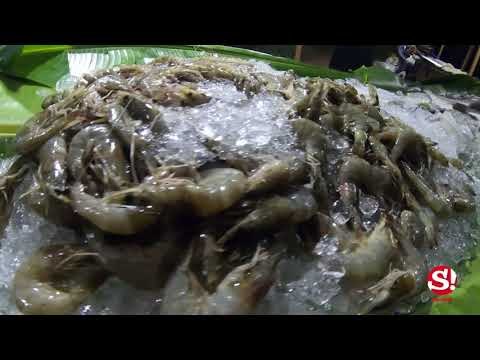 Away Koh Kood Resort 3 วัน 2 คืน ทิ้งโลกทั้งใบ ไปผจญภัยบนเกาะในฝัน