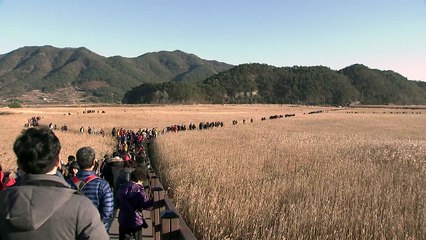 '생태는 평화', 아시아 생태 문화 도시로 오세요! / YTN