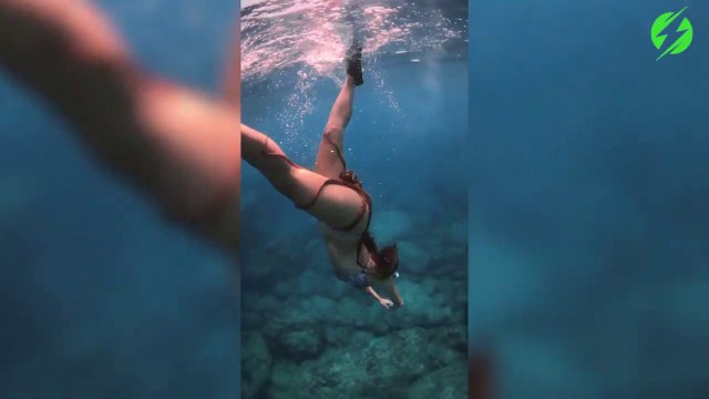 Un poulpe amoureux d'une belle nageuse ne veut plus la lacher