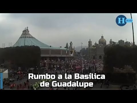Más de 5 millones de peregrinos visitarán la Basílica de Guadalupe