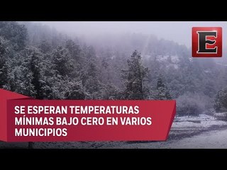 Ligera nevada y aguanieve en región serrana de Chihuahua