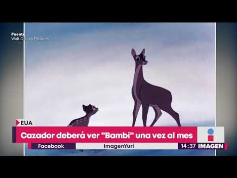 Cazador de ciervos en la cárcel deberá ver Bambi una vez al mes | Noticias con Yuriria