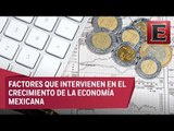 Crecimiento de la economía mexicana será más lenta que en 2018: Pedro Tello