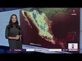 Cómo va a estar el clima este 19 de diciembre en México | Noticias con Yuriria Sierra