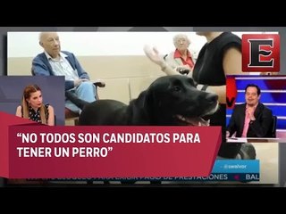 Animal...Es: Animales en asistencia hospitalaria