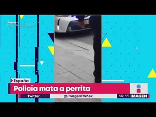 Policía mata a perrita con un disparo | Noticias con Yuriria Sierra