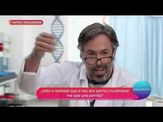 Mitos y realidades con el Dr Arenas... | Sale el Sol