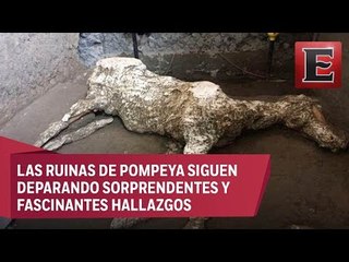 Hallan los restos de un caballo muerto en las ruinas de Pompeya
