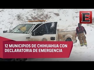 Declaratoria de emergencia en 12 municipios de Chihuahua