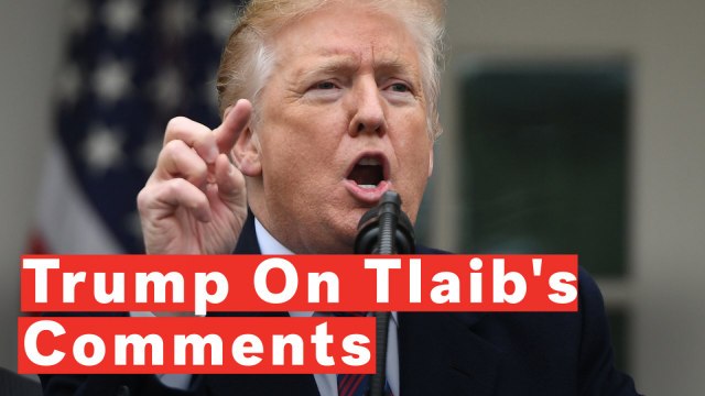 Trump Calls Rashida Tlaib's Profanity-Laced Call For His Impeachment 'Disgraceful'