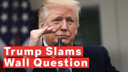 Trump Slams Reporter Over Wall: 'I Know You're Not in the Construction Business'