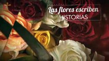 Floresyalgomas.cl Video promocional Servicio Delivery Flores Chile