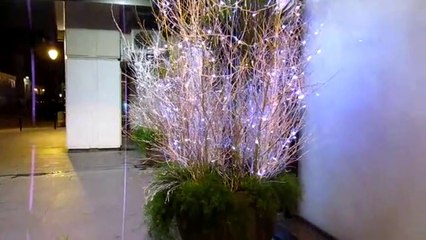 Réveillon du Jour de l'An 2018 (2/4) - New Year's Eve 2018 (2/4)