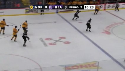 ECHL Norfolk Admirals 0 at Reading Royals 3