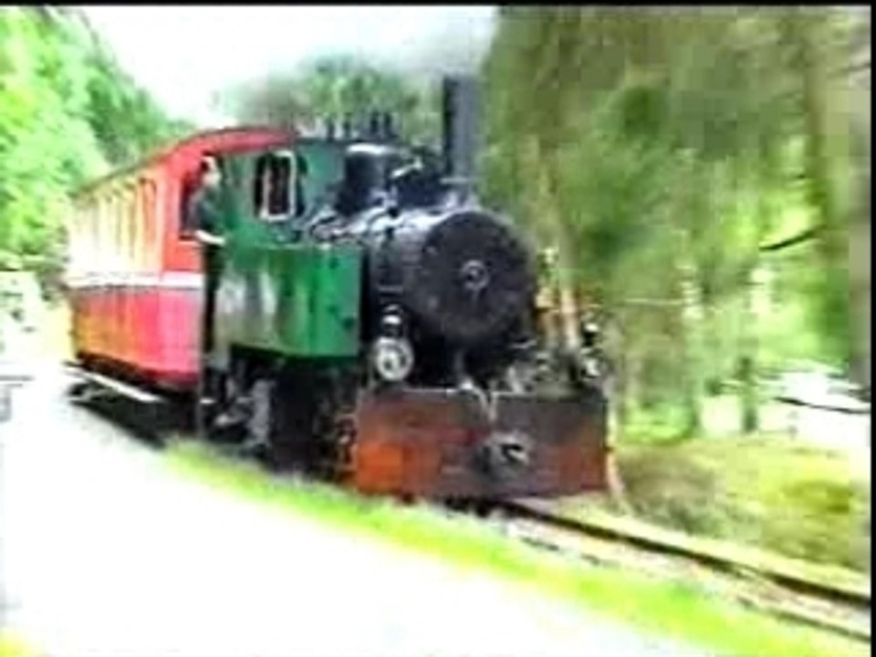 Chemin de fer touristique Abreschviller (3)