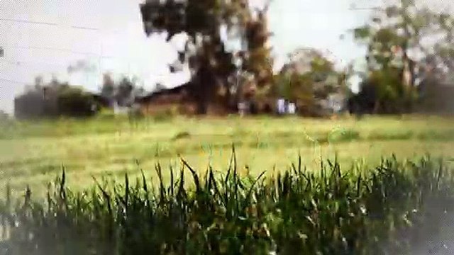 A vendre - Maison/villa - SAINT DIDIER SOUS RIVERIE (69440) - 3 pièces - 72m²