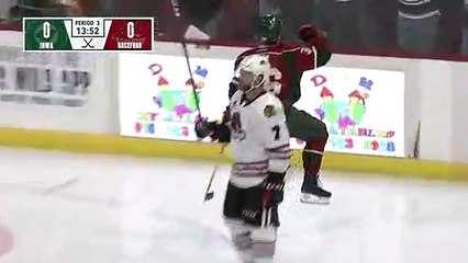 Rockford IceHogs (0) vs Iowa Wild (3) - 1.4.19 - FINAL