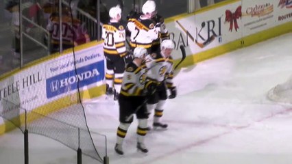 AHL Lehigh Valley Phantoms 2 at Providence Bruins 4