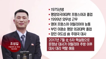 조성길 北 외교관 잠적...북미 협상 파장은? / YTN