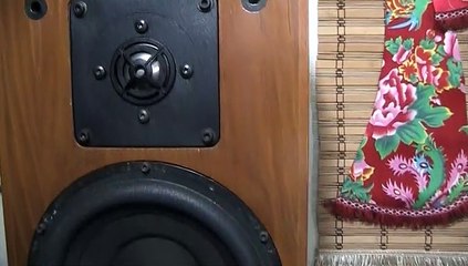lungyim~Monarchy Audio 22B Limited Edition Digital Analog Converter (1)