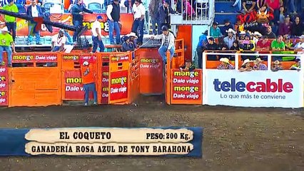 Pequeños Toreros - 04 Enero 2019