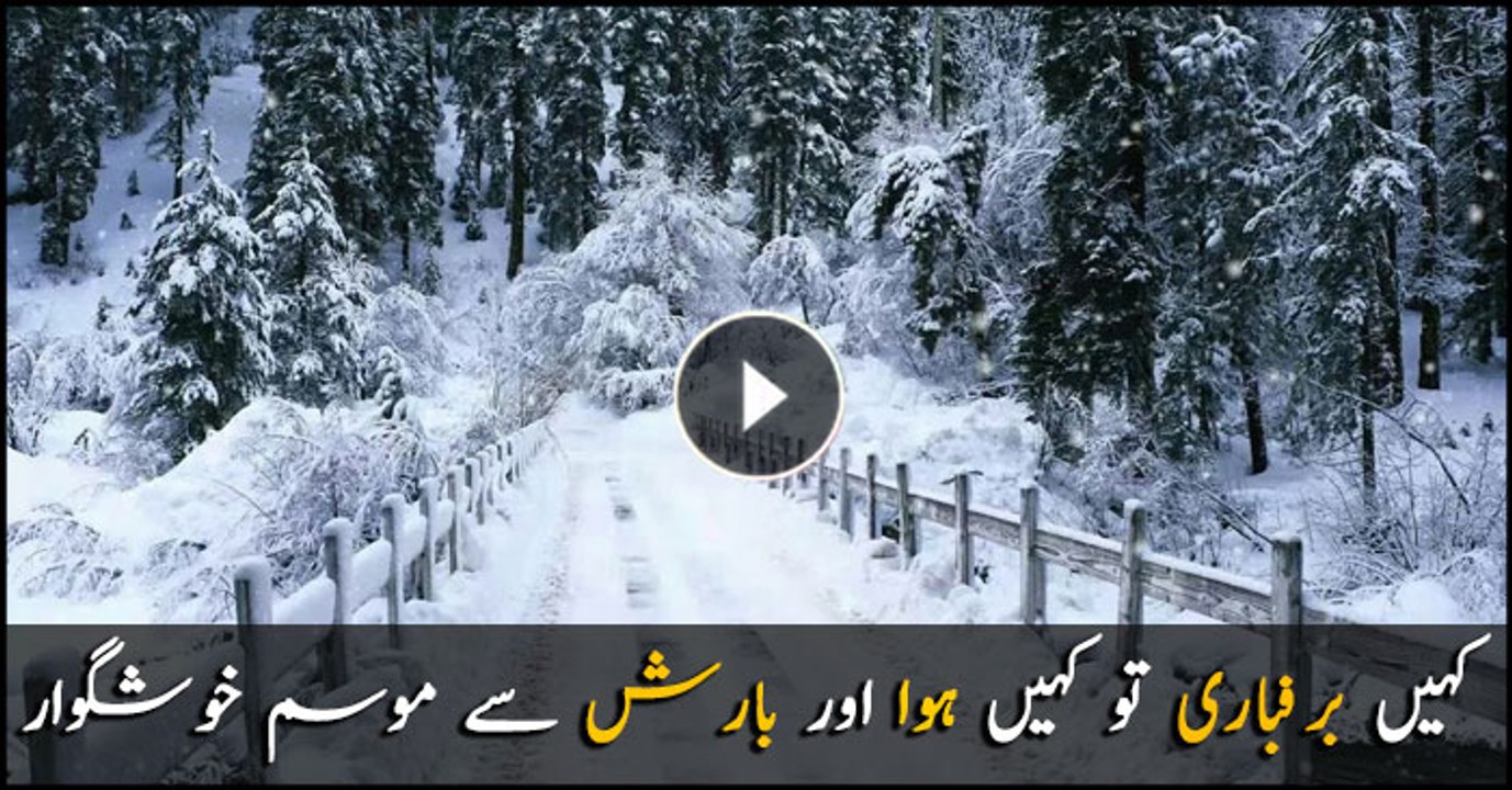 Snowfall or wind, weather pleasant everywhere