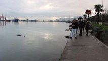 Samsun'da Denizde Ceset Bulundu- Cesedin 23 Yaşındaki Engelli Bir Gence Ait Olduğu Belirlendi
