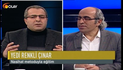 Yedi Renkli Çınar - 04-01-2019