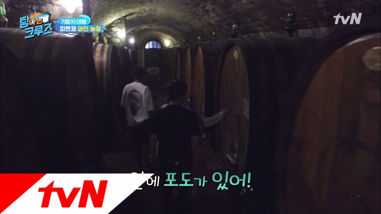 어머 이건 봐야해! 이탈리아 와인저장고 大공개
