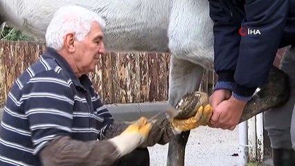 Tekmeler Yedi, Alt Dişleri Döküldü, Ama Atlara Olan Sevgisi Hiç Bitmedi