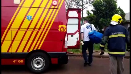 Mulher é atacada por centenas de abelhas no Clarito