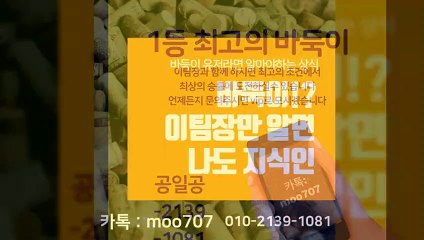 배터리게임 바둑이 맞고 포커 너무 잘되는 라인!!
