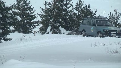 Bozayıların Kış Uykusu İçin "Çöplüklerden Beslenmesini Önleyin" Önerisi