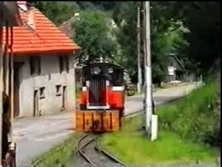 Chemin de fer touristique Abreschviller (10)