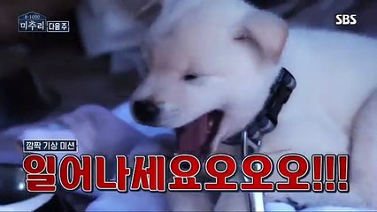 완도출장마사지 - { 카톡FC81} ⊀Ö7Ô-5180-1616⊁ 완도출장안마'20대' 완도출장안마 출장안마코스 완도출장안마 완도출장마사지-황제 완도출장마사지- 완도콜걸.